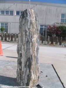 Zebra Stone Brunnenstein
